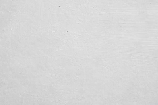 Environmental Consulting for Mold Prevention in Masury, OH